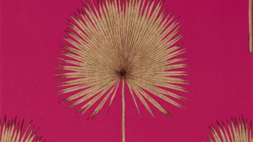 Fan Palm 216638